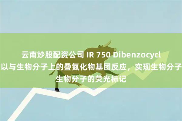 云南炒股配资公司 IR 750 Dibenzocyclooctyne可以与生物分子上的叠氮化物基团反应，实现生物分子的荧光标记